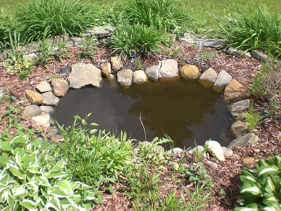 5th image of 949 Gray Dr