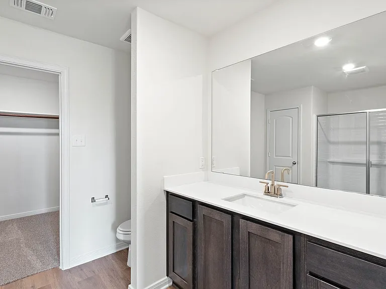 The master bathroom has a spacious vanity space.