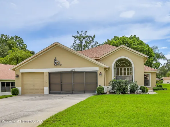 11379 Deercroft Ct, Spring Hill, FL 34609