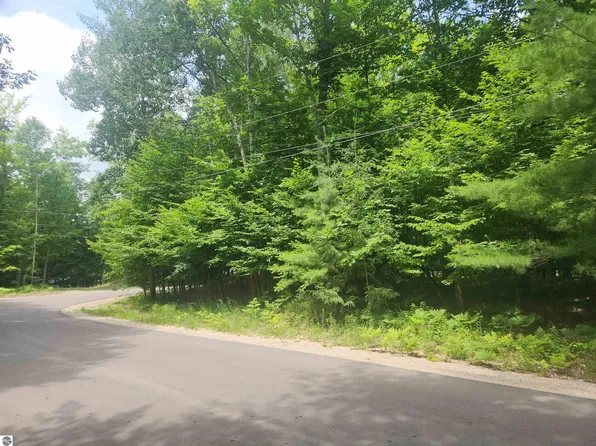 0 Birch View Trl, Lake Ann, MI 49650