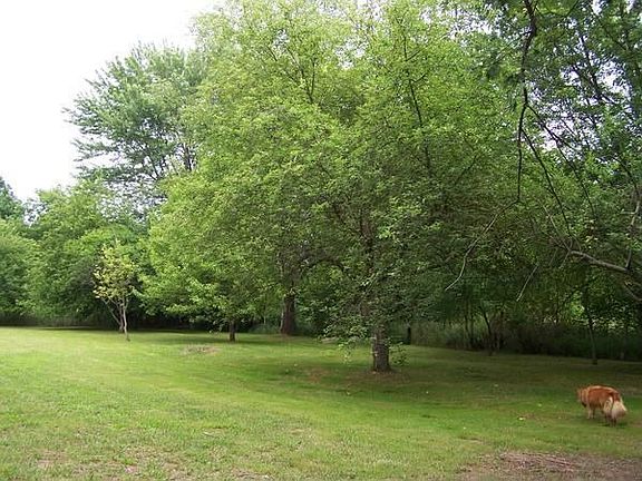 Mature apple, pear and cherry trees