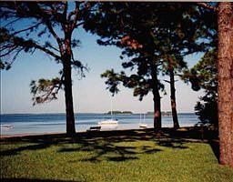 2nd image of 2700 Bayshore Blvd APT 2206