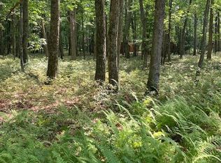 802 Pastern Ct, Hawley, PA 18428