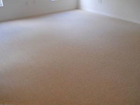 4th image of 4 Wilden Pl