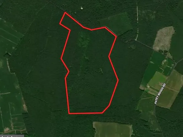 0 Patey Woods Rd, Newark, MD 21841