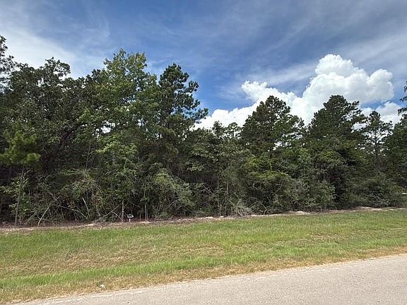 3rd image of 7621 Trinity Pines Dr