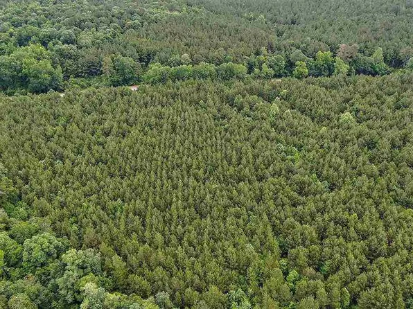 2 Highway 28, Mize, MS 39116