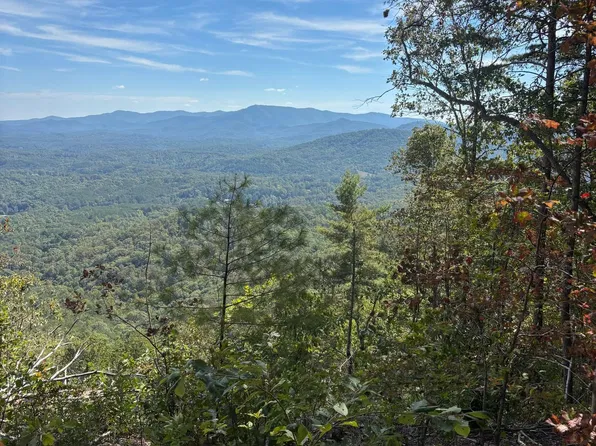 McFarland Rd, Turtletown, TN 37391