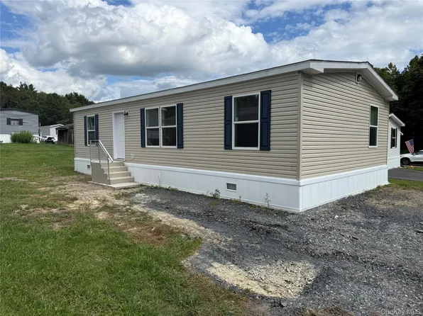 29 SHORE Lane, Burlingham, NY 12722