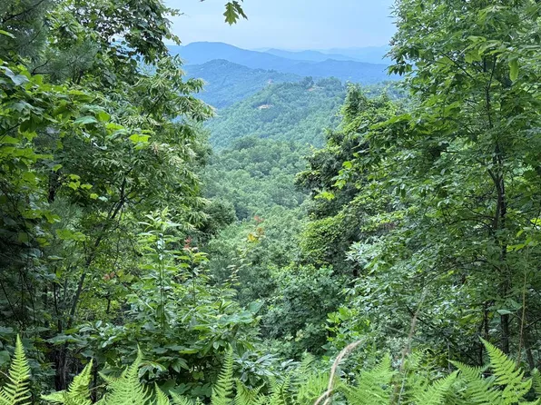 LOT 7 Butternut Rdg, Bryson City, NC 28713