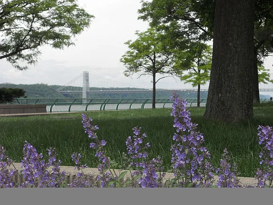 Rented by Willie Kathryn Suggs, LREB | media 27