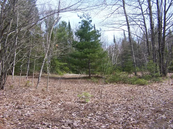 Mast Point Rd, Ocqueoc, MI 49759