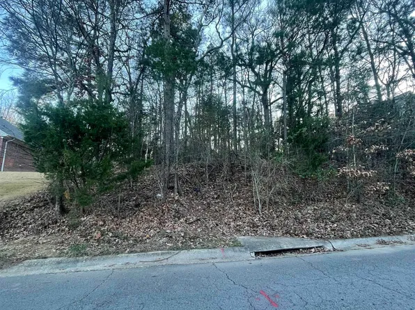 26 Norfork Dr, Maumelle, AR 72113