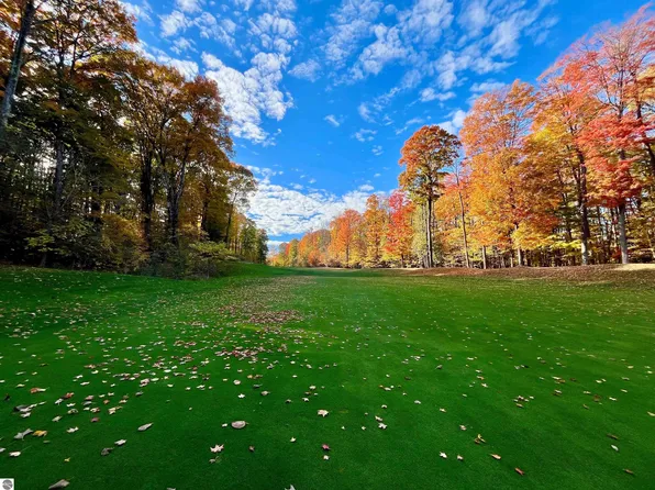 V/l 51 Troon S, Bellaire, MI 49615