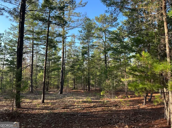 3 Horne Rd, Roberta, GA 31078