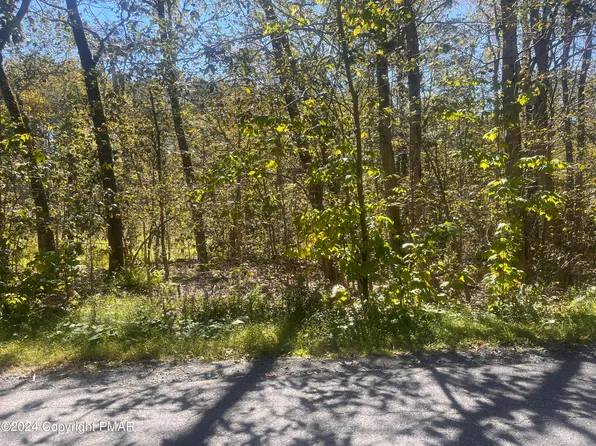 Oak View Ln, Tobyhanna, PA 18466