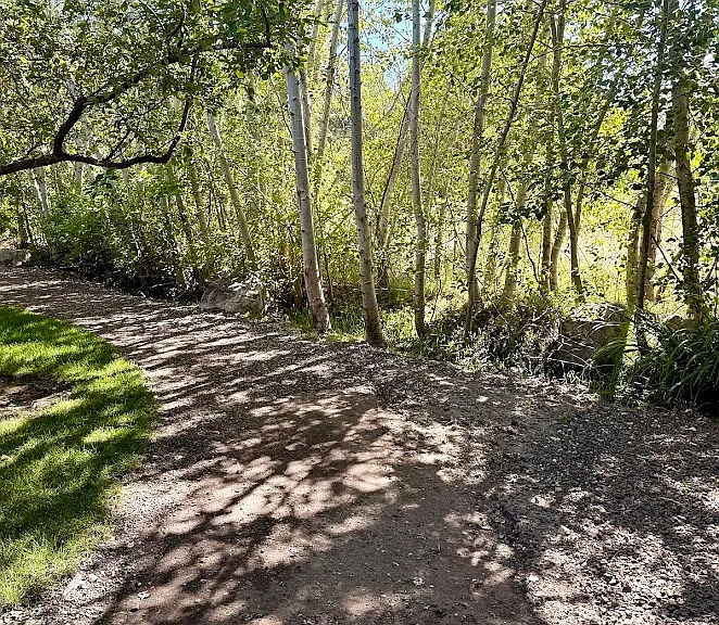 1364 E Lone Shore Dr — Photo 23