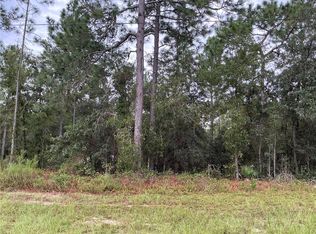 SW 133rd Street Rd LOT 4, Ocala, FL 34473