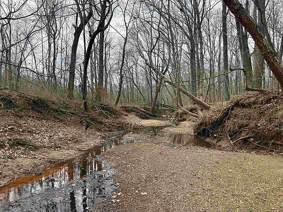 3rd image of 11338 Monterey Rd