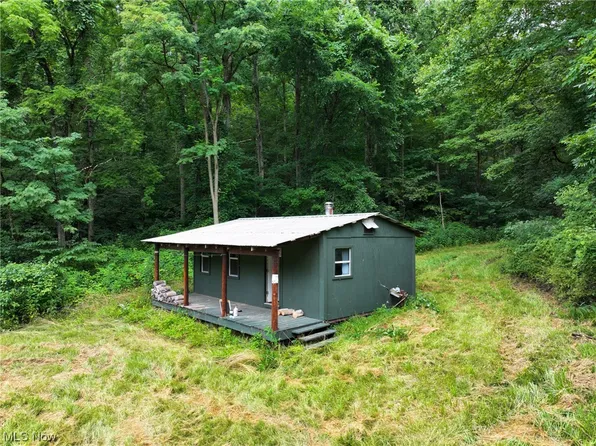 28824 Brown Rd, Summerfield, OH 43788