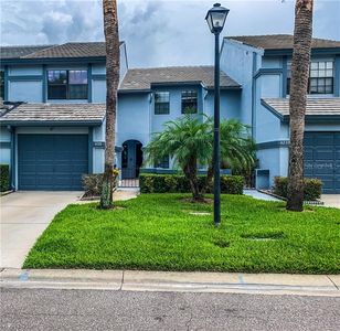 4228 Brentwood Park Cir, Tampa, FL, 33624