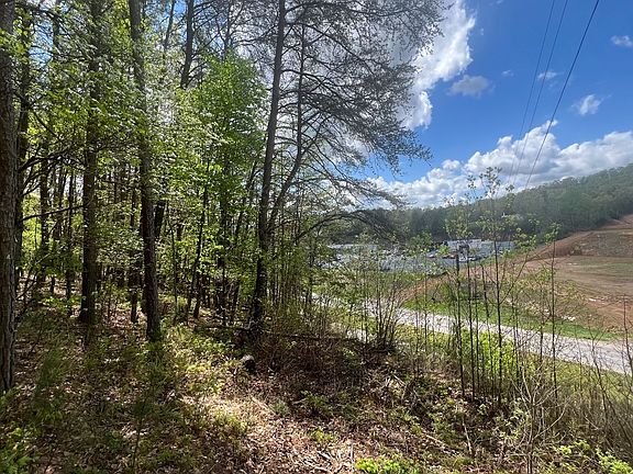 4th image of Us Highway 64