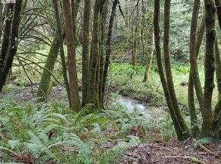 0 Goldbrick Rd #2, Myrtle Point, OR 97458