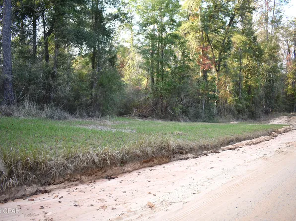 LOT 1 Lakeview Rd, Caryville, FL 32427