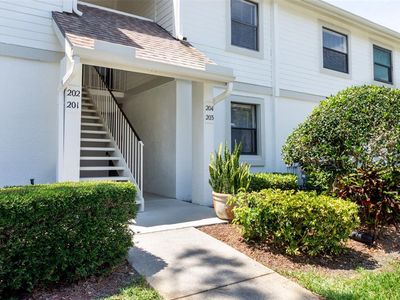 204 Windward Pl, Oldsmar, FL, 34677