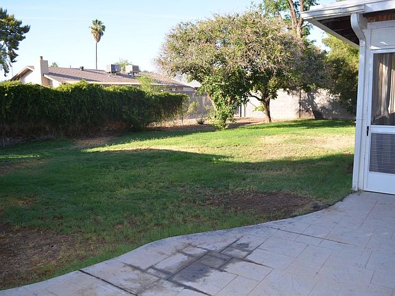 Large grass backyard
