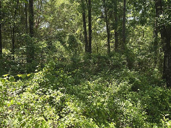 3rd image of 0 Toler Rd