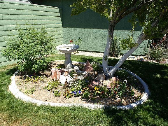 Bird Bath Planter in Front Lawn