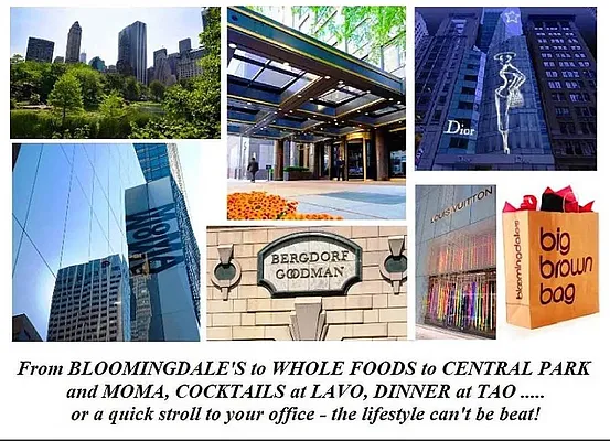 Rented by Bond New York | media 45