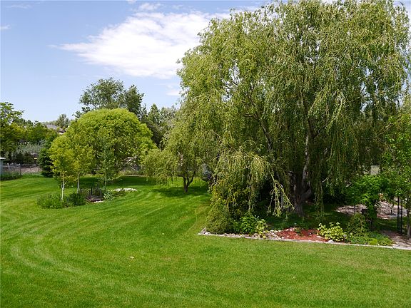 Large backyard