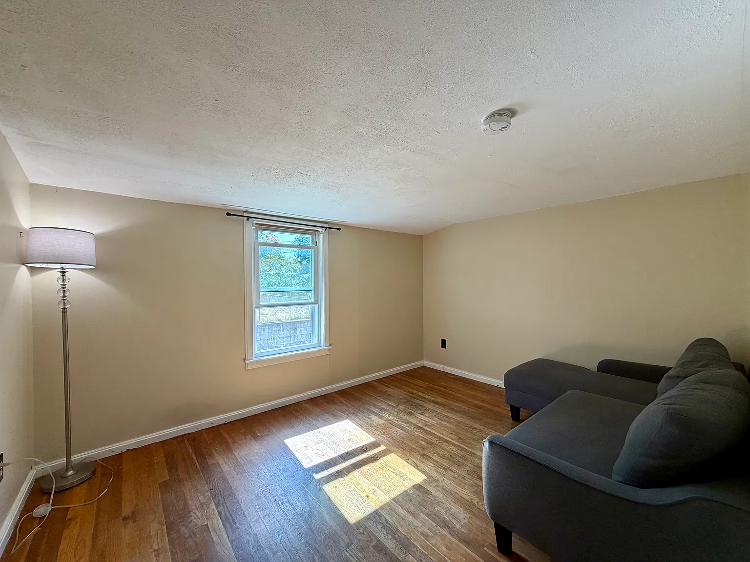 1 bed, 800 sqft, $1,900 — Photo 3