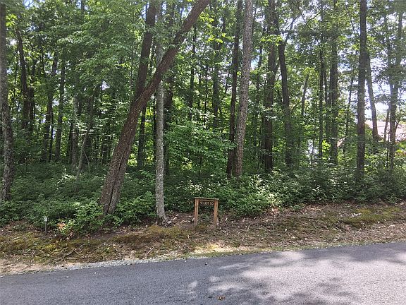 4th image of 10 Lone Panther Ridge