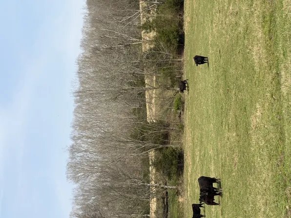 6 N Lick Creek Rd Lot 6, Franklin, TN 37064