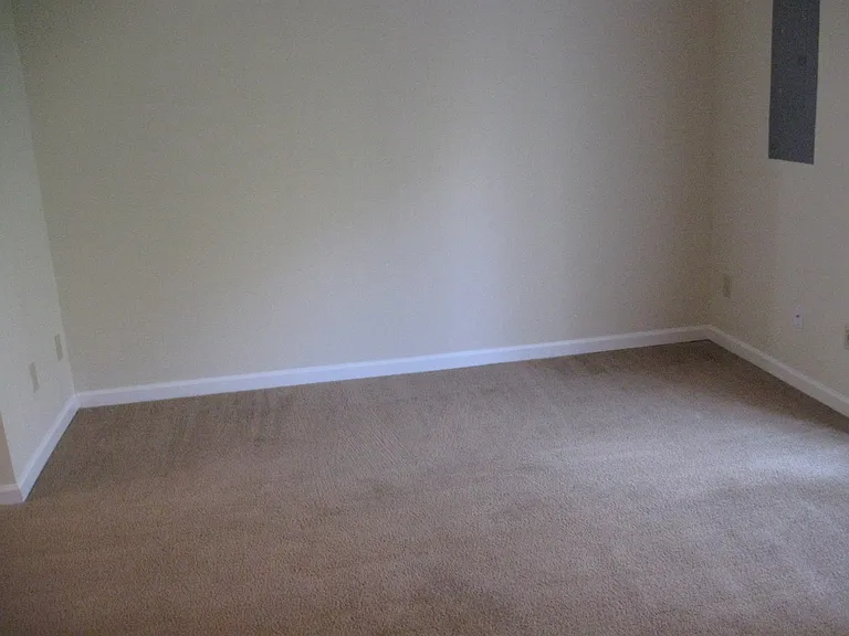 356 Bailey Run Ln — Photo 7