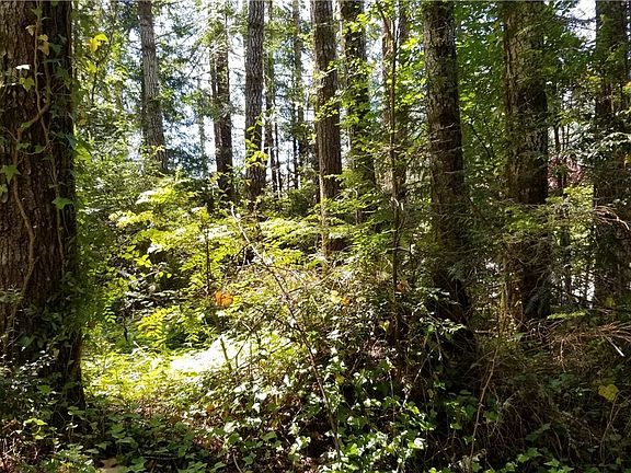 5th image of 53 E Falls Pl Lot Twanoh