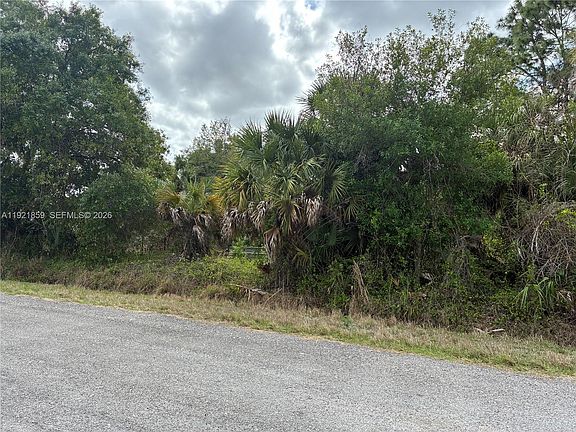 4th image of 360 S Palomino St