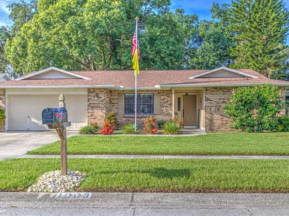 1003 Mallow Way, Brandon, FL 33510