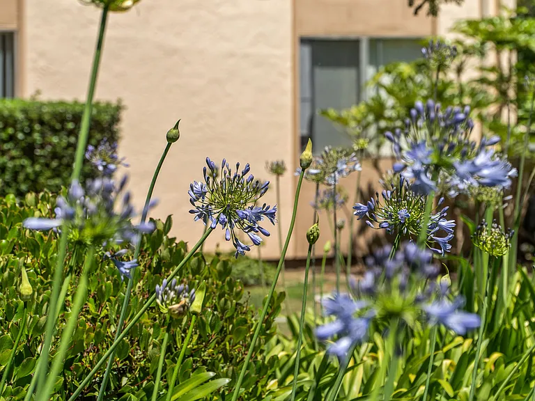 Plum Orchard Apartments — Photo 30