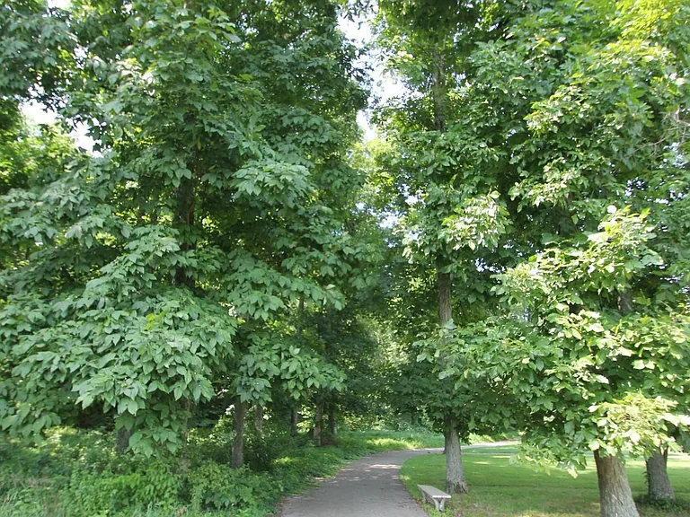 HighGrove — Photo 60