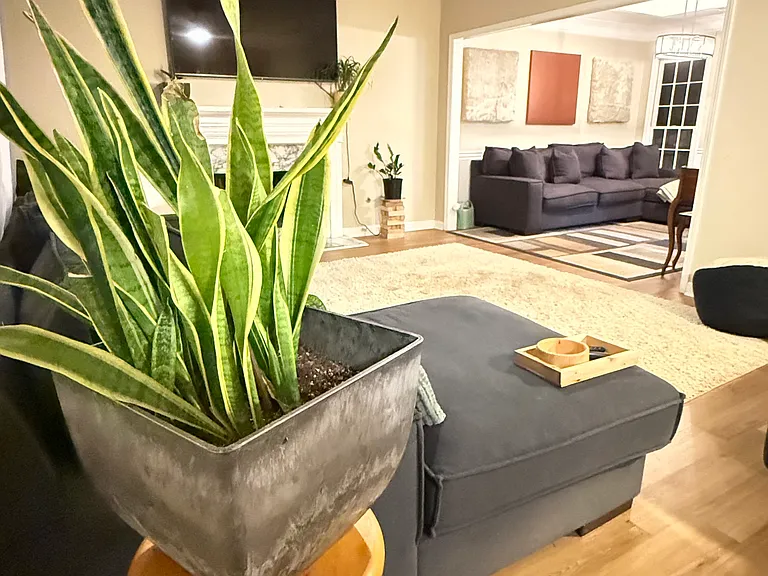 82 Shoreline Way — Photo 33