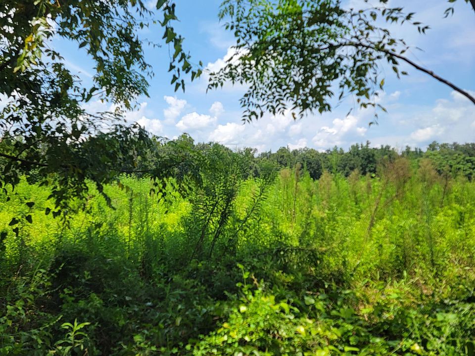 0 Overpass Rd, Campbellton, FL 32426 Zillow