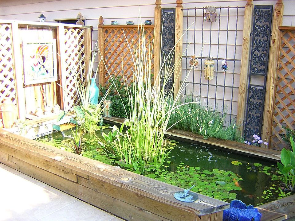 pond