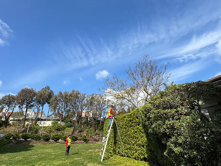 Laguna Ct — Photo 18