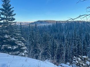M261 Parks Hwy, Healy, AK 99743