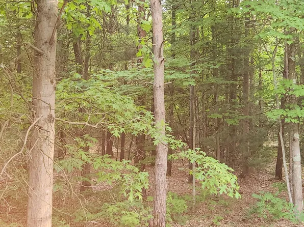 1127 Chicago Dr Lot 19, Whitehall, MI 49461