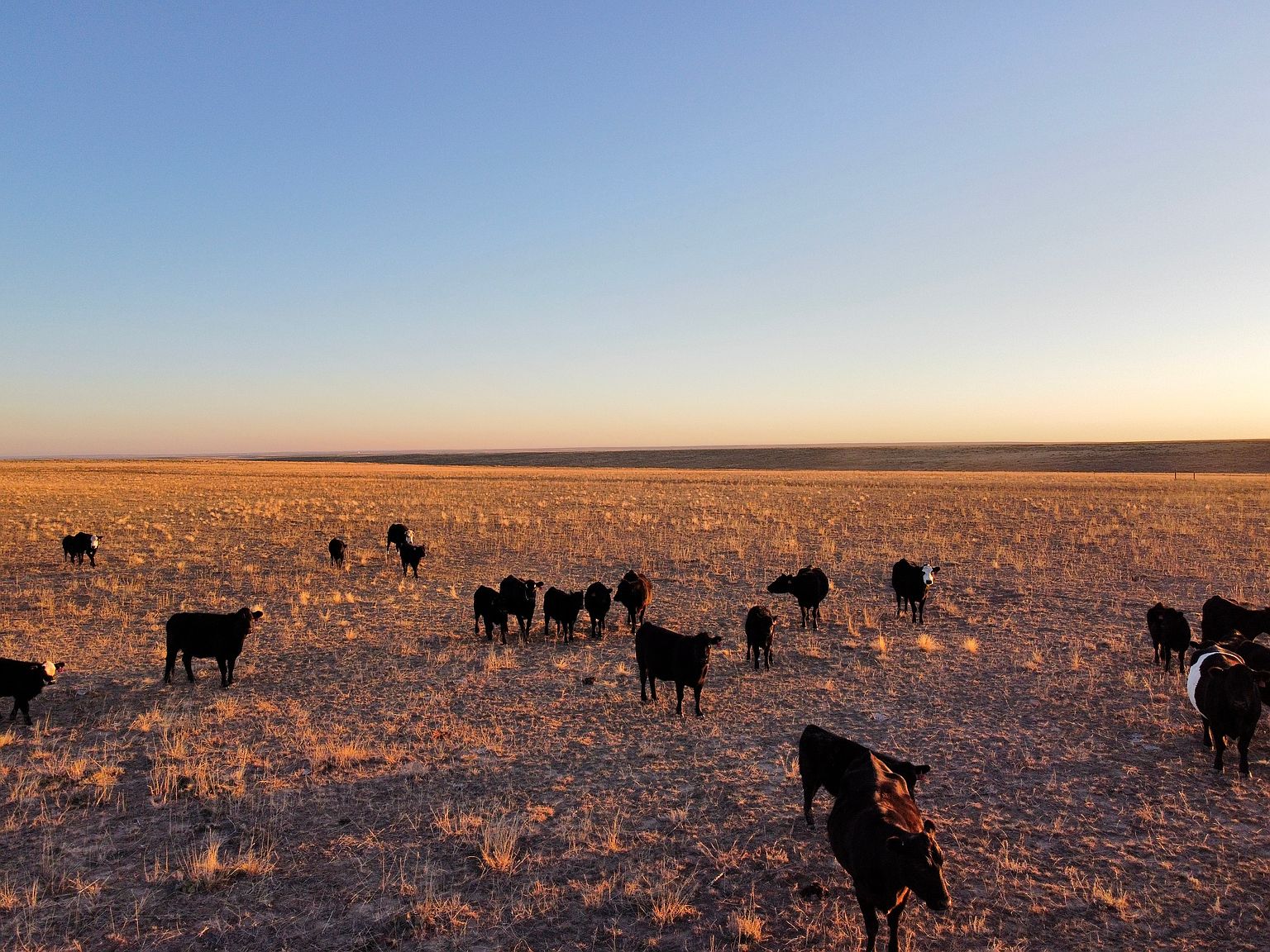 1 S County Rd 2166, Deer Trail, CO 80105 Zillow